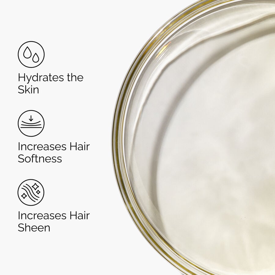 100-organic-cold-pressed-moroccan-argan-oil-f3 FY25-D41247-ORD-Web-PDP-100-Argan-Oil-1x1-EN-3.jpg