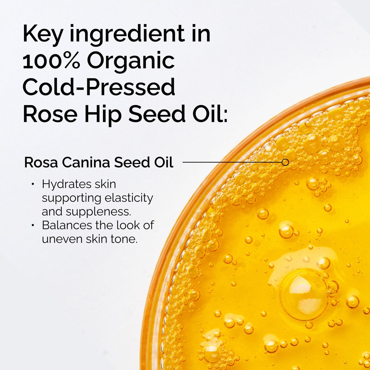 100-organic-cold-pressed-rose-hip-seed-oil-d4 FY25-D41247-ORD-Web-PDP-100-Rose-Hip-Oil-1x1-EN-2.jpg