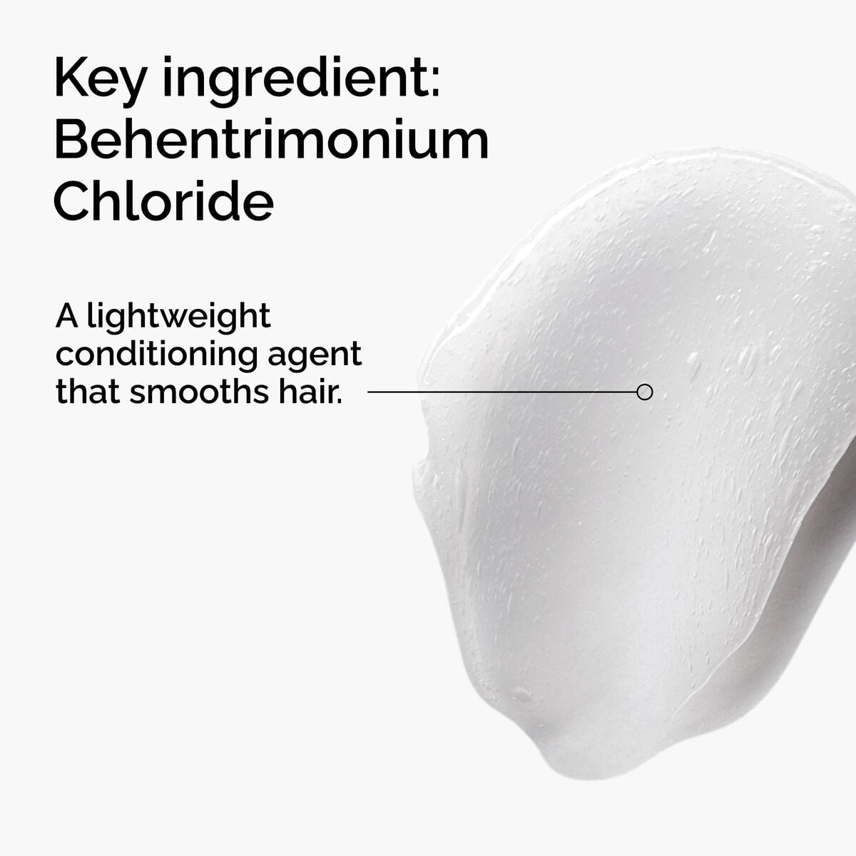 behentrimonium-chloride-2-conditioner-b6 FY25-D41247-ORD-Web-PDP-BTC-1x1-EN-2a.jpg