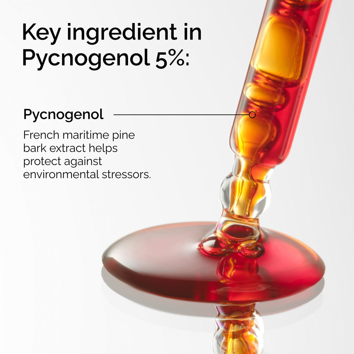 pycnogenol-5-f2 FY25-D41247-ORD-Web-PDP-Pyc-5pct-1x1-EN-2a.jpg