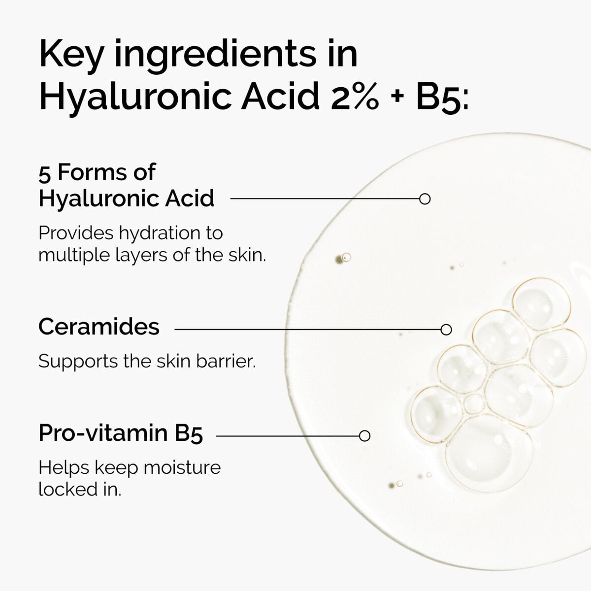 hyaluronic-acid-2-b5-with-ceramides-s0 ord-hyaluronic-acid-2pct-b5-hydrating-serum-ingredients-graphic.jpg
